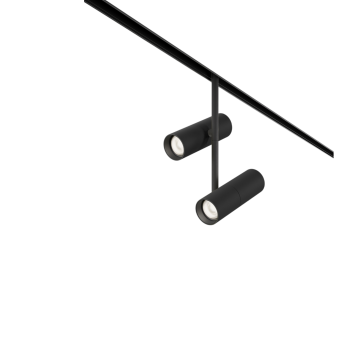 Трековый светильник MAYTONI ELTI DUO TR005-2-2X12W4K-B